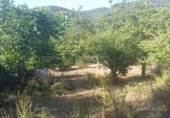 Non-developable land for sale on España, Jabugo, ref: TR143536 photo