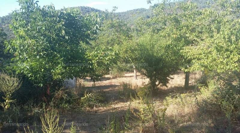 Huelva - Jabugo - 10697m2