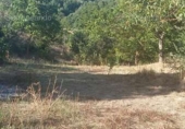 Non-developable land for sale on España, Jabugo, ref: TR143536 photo