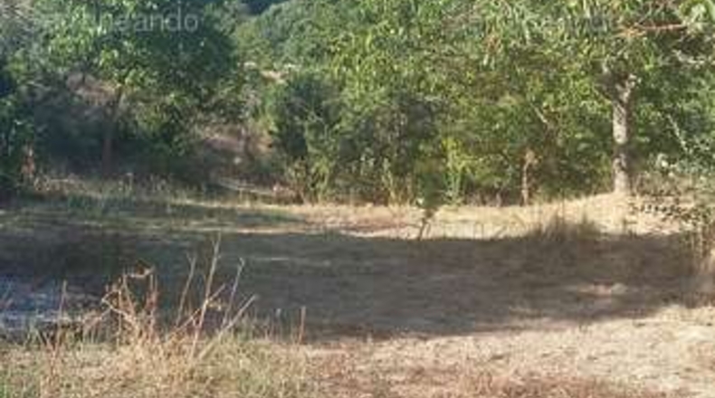 Huelva - Jabugo - 10697m2