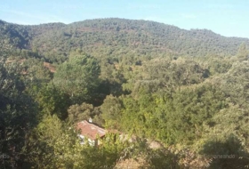 Jabugo 10697&nbsp;m²