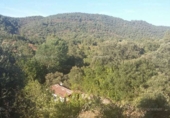 Non-developable land for sale on España, Jabugo, ref: TR143536 photo