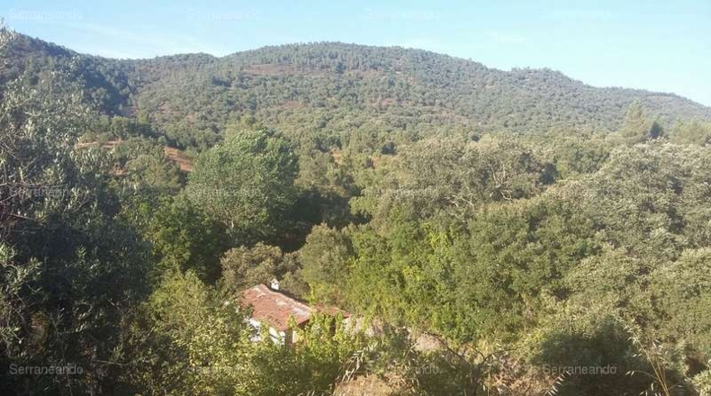 Huelva - Jabugo - 10697m2