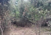 Land suitable for development for sale on España, Caldes de Montbui, ref: TR118032 photo