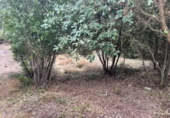 Land suitable for development for sale on España, Caldes de Montbui, ref: TR118032 photo