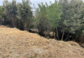 Land suitable for development for sale on España, Caldes de Montbui, ref: TR118032 photo