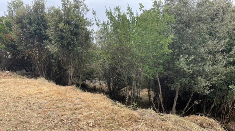 Barcelona - Caldes de Montbui - 928m2