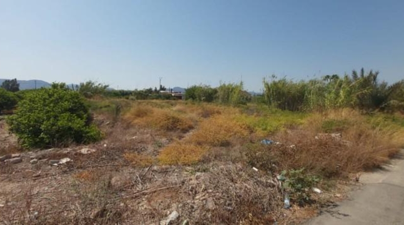 Múrcia - Murcia - 1482m2