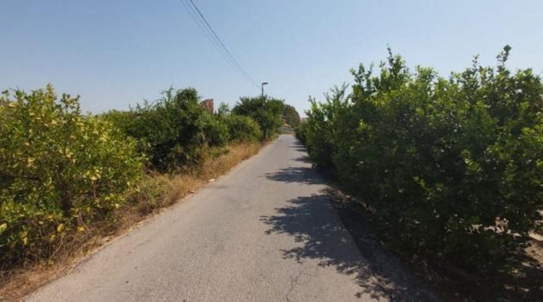 Múrcia - Murcia - 1482m2