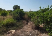 Sòl urbà en venda a la España, Múrcia, ref.: TR118401 foto