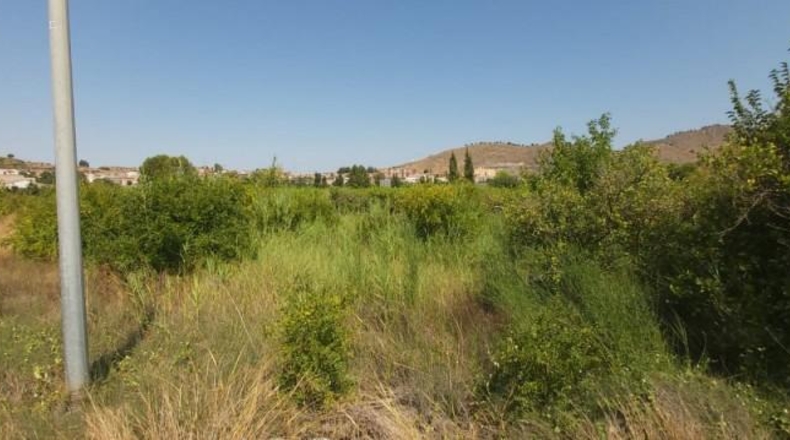 Múrcia - Murcia - 1482m2