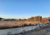 Non-developable land for sale on España, Novelda, ref: TR122142 photo