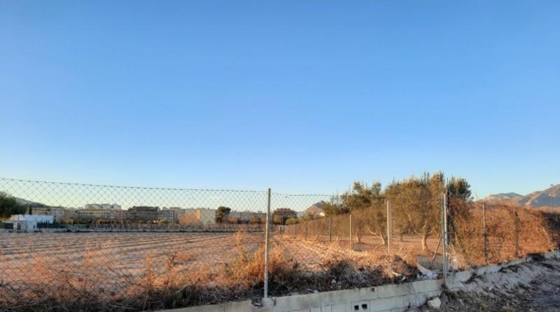 Alicante - Novelda - 6000m2