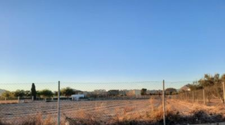 Alicante - Novelda - 6000m2
