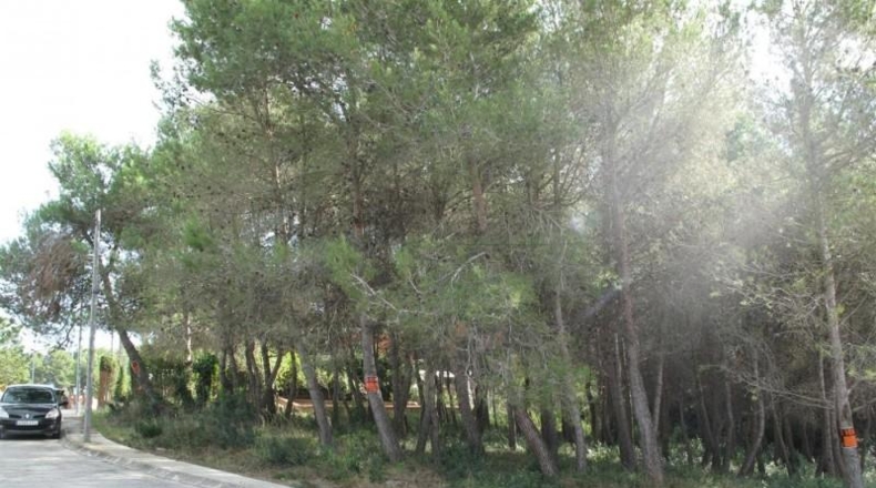 Barcelona - Olesa de Bonesvalls - 2500m2