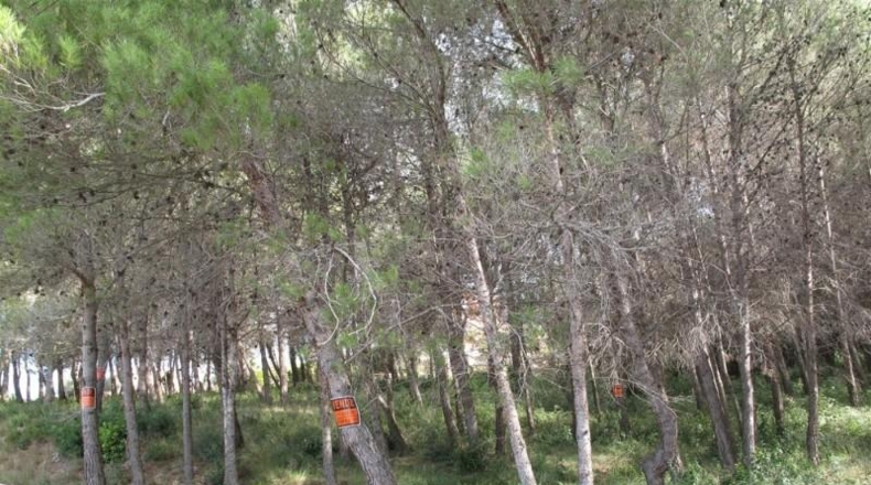 Barcelona - Olesa de Bonesvalls - 2500m2