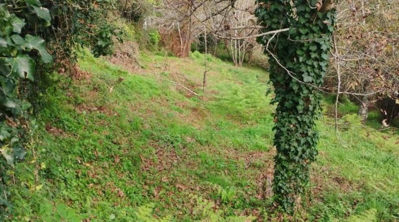 Pontevedra - Redondela - 800m2