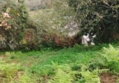 Detached villa with land for sale on España, Redondela, ref: TR173249 photo