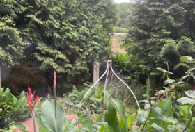 Foto 12