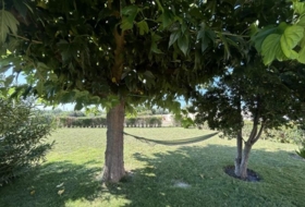Tudela 1900&nbsp;m² 