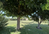 Casa de campo con terreno en venta en la España, Tudela, ref: TR169055 foto