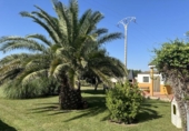 Casa de campo con terreno en venta en la España, Tudela, ref: TR169055 foto