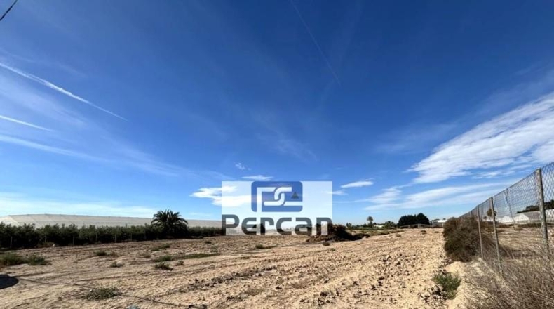 Alicante - Elche - 11882m2