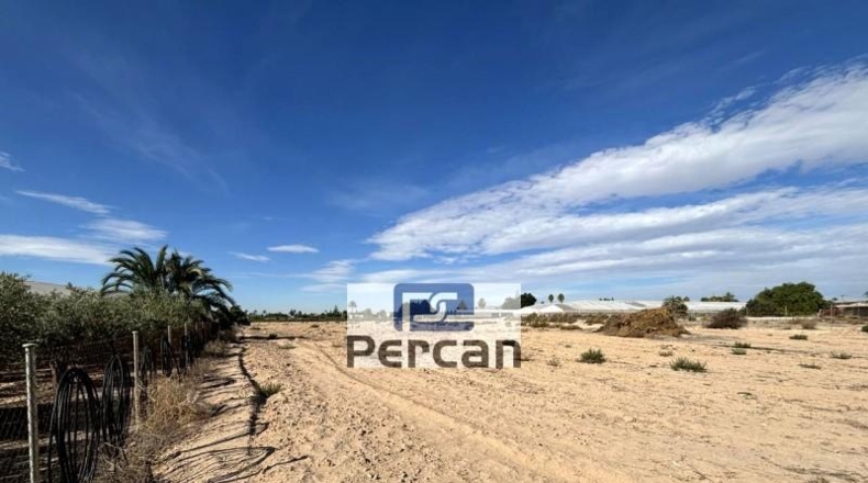 Alicante - Elche - 11882m2