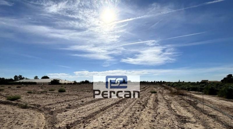 Alicante - Elche - 11882m2