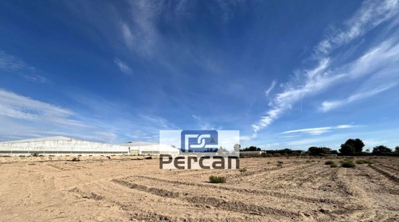 Alicante - Elche - 11882m2