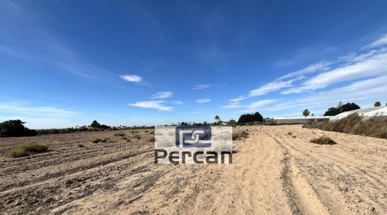 Alicante - Elche - 11882m2