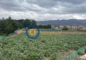 Non-developable land for sale on España, Lorca, ref: TR125165 photo