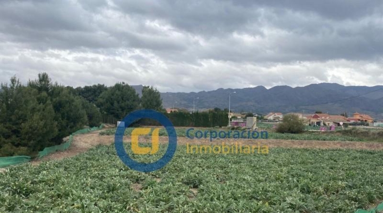 Múrcia - Lorca - 8340m2