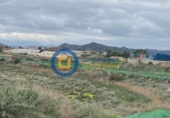 Non-developable land for sale on España, Lorca, ref: TR125165 photo