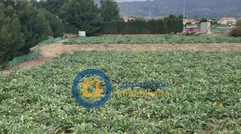 Múrcia - Lorca - 8340m2