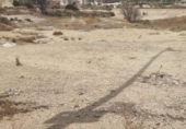 Non-developable land for sale on España, Lorquí, ref: TR158935 photo