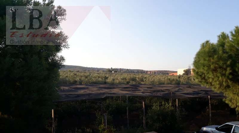 Jaén - Bailén - 20000m2