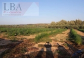 Земля, подлежащая урбанизации на продажу у города Bailén Фото