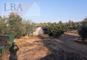 Земля, подлежащая урбанизации на продажу у города Bailén Фото