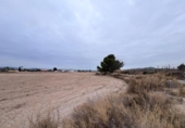 Xalet independent amb terreny en venda a la España, Novelda, ref.: TR300904 foto