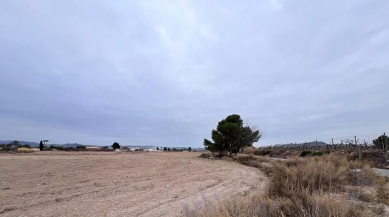 Alicante - Novelda - 18579m2