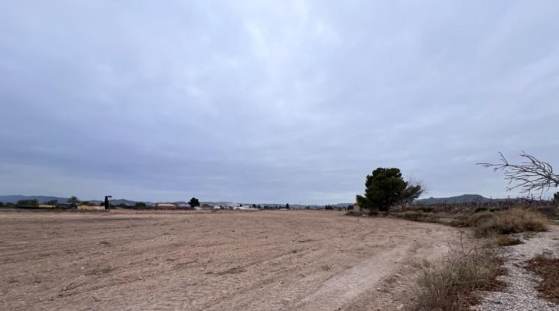 Alicante - Novelda - 18579m2