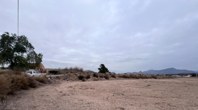Alicante - Novelda - 18579m2