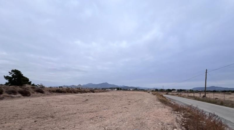 Alicante - Novelda - 18579m2