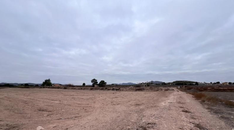 Alicante - Novelda - 18579m2