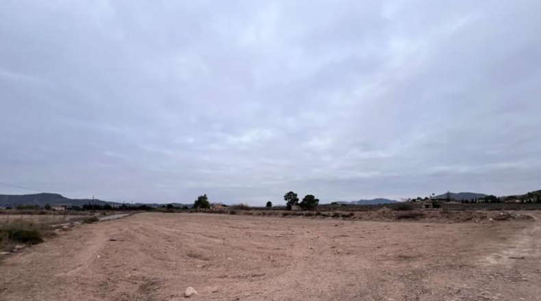 Alicante - Novelda - 18579m2