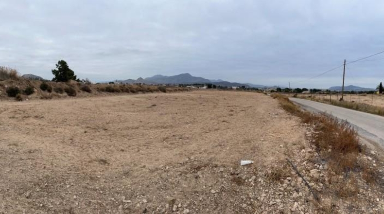 Alicante - Novelda - 18579m2