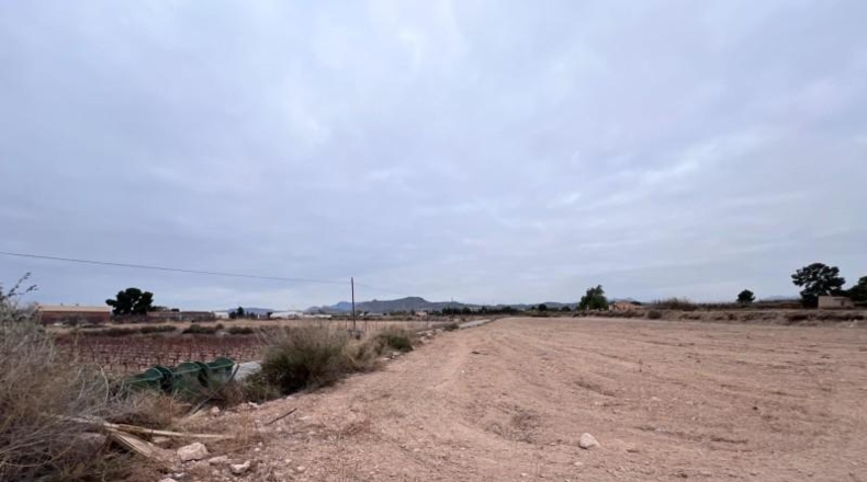 Alicante - Novelda - 18579m2
