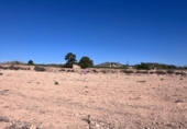 Xalet independent amb terreny en venda a la España, Novelda, ref.: TR300904 foto