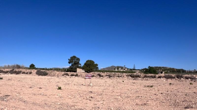 Alicante - Novelda - 18579m2